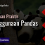 panduan-praktis-penggunaan-pandas-bagian-1-39