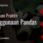 panduan-praktis-penggunaan-pandas-bagian-2-40